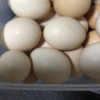 [西沛生鲜]新鲜谷物蛋 4枚装 农家散养新鲜正宗草鸡蛋笨柴鸡蛋孕妇月子蛋整箱禽蛋晒单图