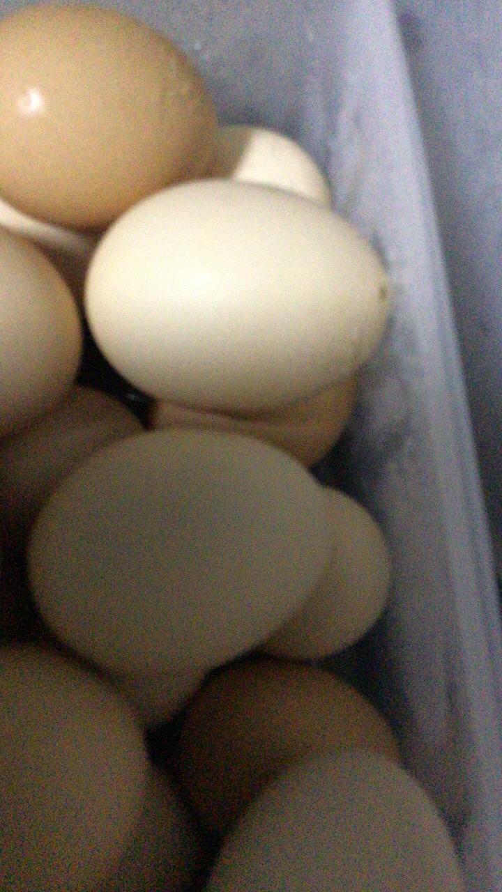 [西沛生鲜]新鲜谷物蛋 4枚装 农家散养新鲜正宗草鸡蛋笨柴鸡蛋孕妇月子蛋整箱禽蛋晒单图