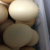 [西沛生鲜]新鲜谷物蛋 4枚装 农家散养新鲜正宗草鸡蛋笨柴鸡蛋孕妇月子蛋整箱禽蛋晒单图