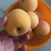 [熊猫鸟]彩箱装山东新鲜黄桃 黄毛蜜桃 新鲜水果桃子 产地直发 净重4.5斤装 单果150g+ 共约10-15个装晒单图