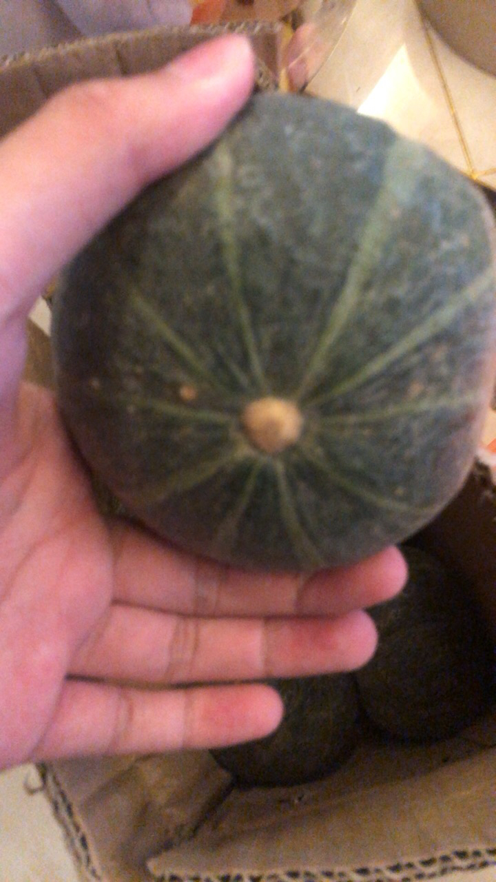 [苏鲜生]贝贝小南瓜 新鲜蔬菜 5斤 4-9个 新鲜采摘 软糯香甜晒单图
