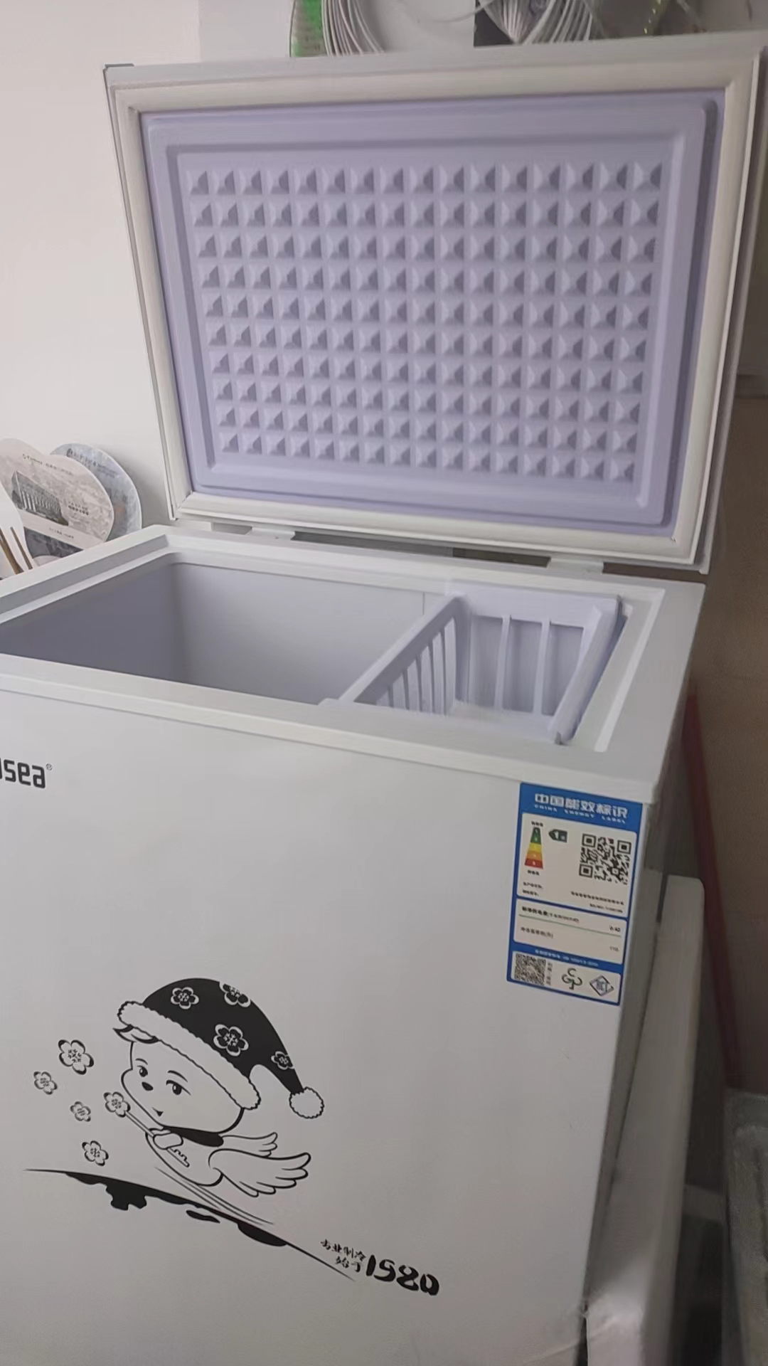 香雪海 110升 冰柜小型家用 一级能效 冰柜 冷柜家用顶开门 卧式冷柜冷冻冷藏转换 单温柜 BD/BC-110S169晒单图