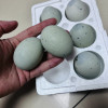 [西沛生鲜]河南特产松花皮蛋 6枚 单枚50-60g 正宗土鸭蛋新鲜腌制溏心皮蛋河南特产变蛋晒单图