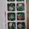 [西沛生鲜]正宗咸鸭蛋新鲜 10枚 60-70g/个 红泥腌制烘焙流油蛋黄酥月饼粽子红心咸蛋晒单图