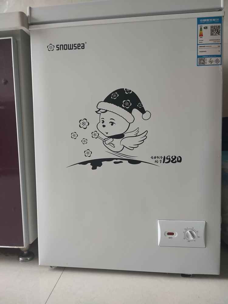 香雪海 110升 冰柜小型家用 一级能效 冰柜 冷柜家用顶开门 卧式冷柜冷冻冷藏转换 单温柜 BD/BC-110S169晒单图