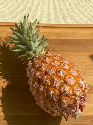 [苏鲜生]海南金钻凤梨 小果 试吃装 1个 小凤仙凤梨 当季热带水果 香甜可口 产地直发 西沛晒单图