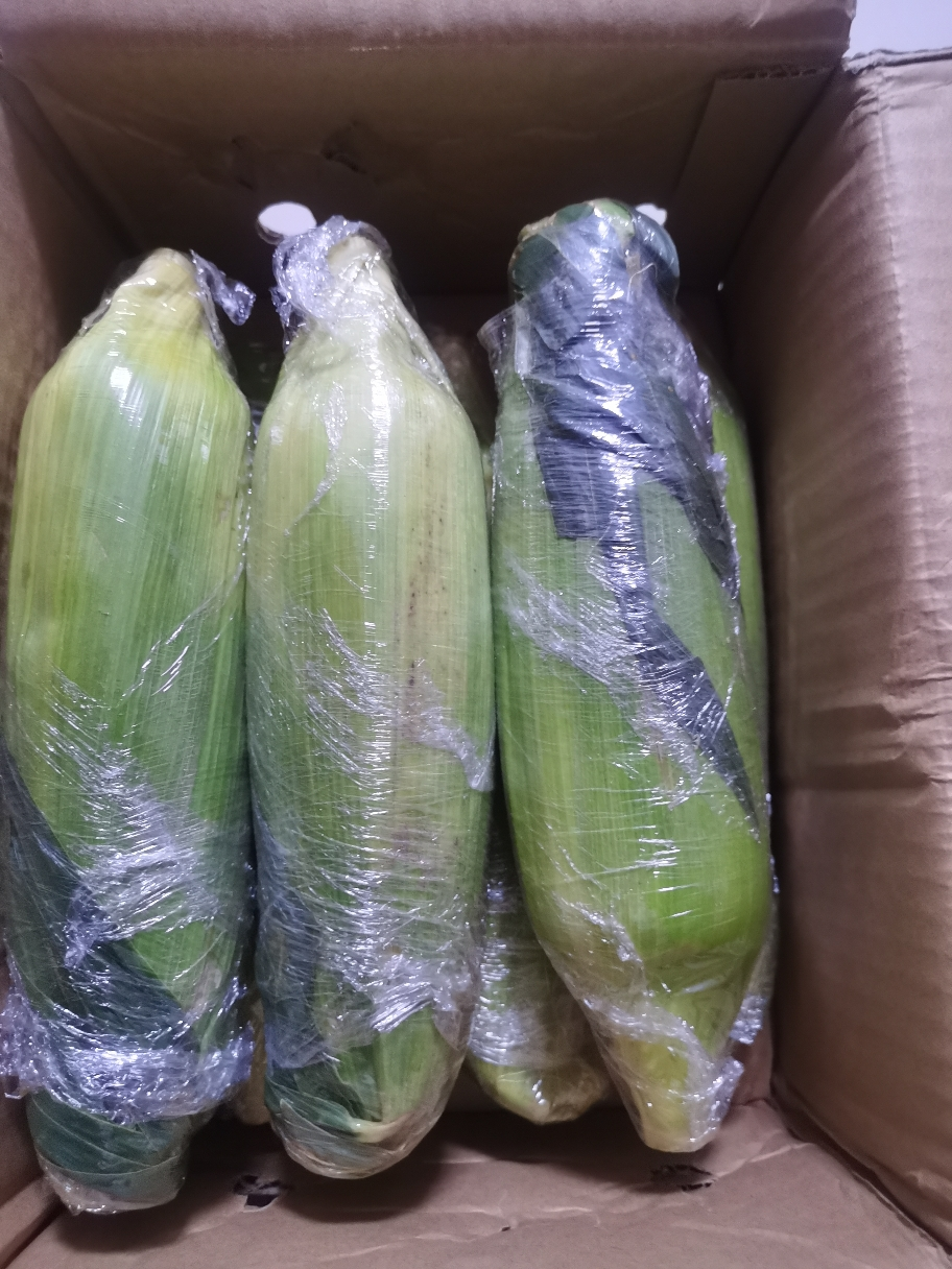 [西沛生鲜]云南水果玉米 净重5斤装 箱装 香甜可口 时令蔬菜 西沛晒单图