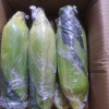 [西沛生鲜]云南水果玉米 净重5斤装 箱装 香甜可口 时令蔬菜 西沛晒单图