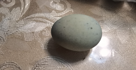 汇尔康 松花蛋10枚装 新鲜皮蛋糖心皮蛋50g-60g 鸭蛋松花蛋皮蛋晒单图