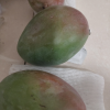 [苏鲜生] 新鲜凯特芒果 净重3斤 大果 单果400g左右 当季 整箱新鲜现摘热带时令水果甜心芒应季水果晒单图