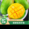 [苏鲜生] 新鲜凯特芒果 净9斤 大果 单果400g左右 当季 整箱新鲜现摘热带时令水果甜心芒应季水果晒单图