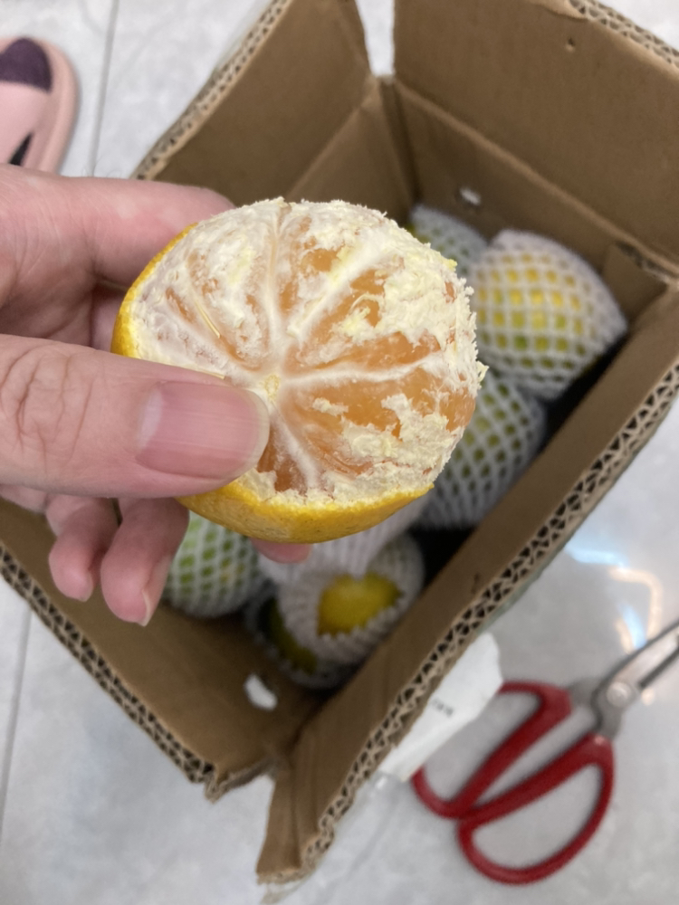 [中华特色]秭归馆 一苇农佳秭归脐橙九月红5斤装60-70mm 新鲜采摘 坏果包赔 华中晒单图