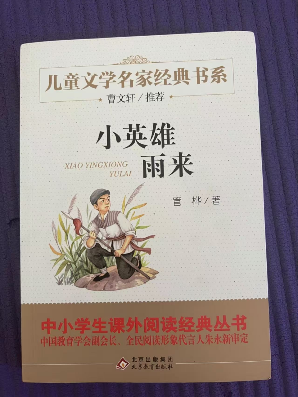 小英雄雨来正版管桦著四五六年级小学生必读课外阅读书籍文学书指定8-9-10-12岁儿童文学读物晒单图