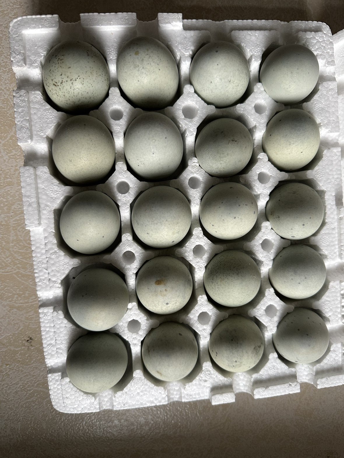[西沛生鲜]河南特产松花皮蛋10枚 单枚60-70g 正宗土鸭蛋新鲜腌制溏心皮蛋河南特产变蛋晒单图