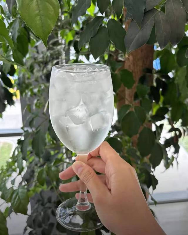 白桦树汁100%原汁植物饮料长白山310ml*24瓶晒单图