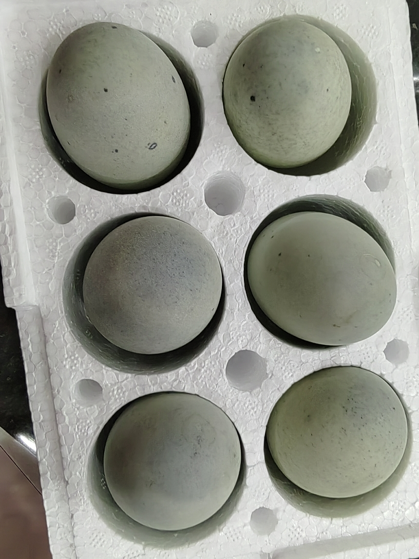 [西沛生鲜]河南特产松花皮蛋 6枚 单枚50-60g 正宗土鸭蛋新鲜腌制溏心皮蛋河南特产变蛋晒单图