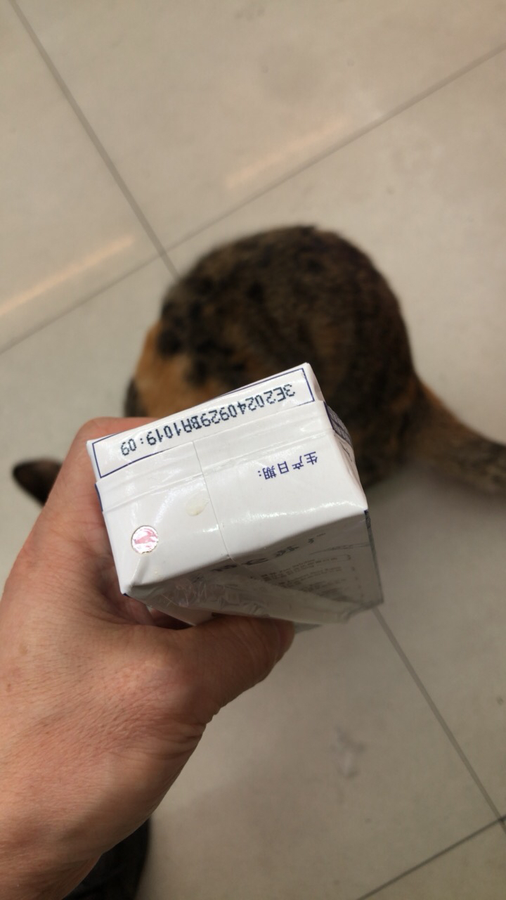 蒙牛 特仑苏纯牛奶250mL*12盒 家庭营养早餐奶晒单图
