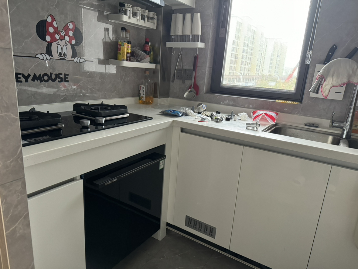 西门子(SIEMENS)灶下大内腔12套洗碗机晶蕾烘存洗下层强洗5层喷淋系统 SE45ZB88KC晒单图