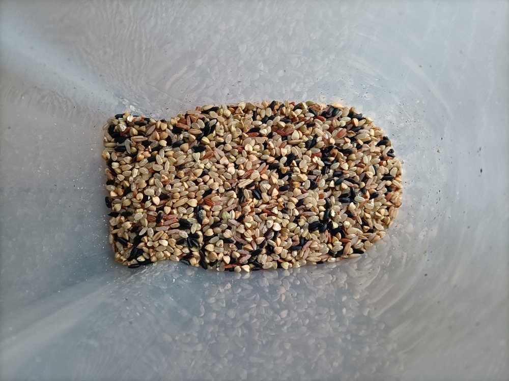 [汾都香]东北新五色糙500g*5袋真空黑米红米营养健身代餐五谷杂粗粮晒单图