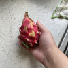 [西沛生鲜] 京都一号红心火龙果 净重2.8-3.2斤 中果 箱装 热带 水果 当季新鲜晒单图