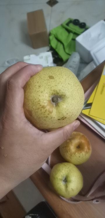安徽砀山酥梨净重2.5斤梨子新鲜当季果园直采砀山脆梨水果公司福利采购晒单图