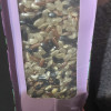 金龙鱼精选三色糙米1KG 早餐煮粥蒸饭三色均衡家用宿舍团购晒单图