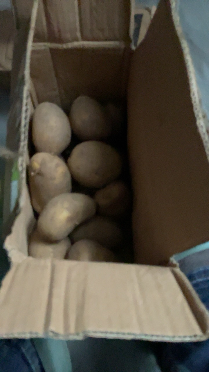 [西沛生鲜]云南黄皮黄心土豆 软糯洋芋 中果 3斤 单果60-100g 新鲜马铃薯 当季蔬菜 西沛晒单图
