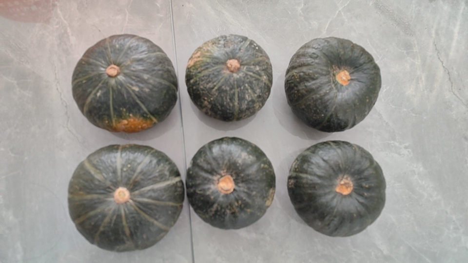 [苏鲜生]贝贝小南瓜 新鲜蔬菜 5斤 4-9个 新鲜采摘 软糯香甜晒单图