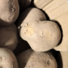 [西沛生鲜]云南黄皮黄心土豆 软糯洋芋 大果 5斤 单果100-200g 新鲜马铃薯 当季蔬菜 西沛晒单图