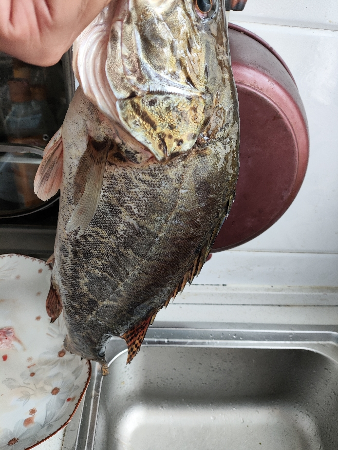 苏泊尔(SUPOR)电饭煲4L大容量家用电饭锅蓝钻厚釜内胆24H智能预约可拆洗上盖快煮香弹饭1-8人 SF40FC871晒单图