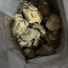谷本粮农干香菇干货250g 东北特产长白山新鲜椴木小香菇花菇木耳蘑菇类晒单图