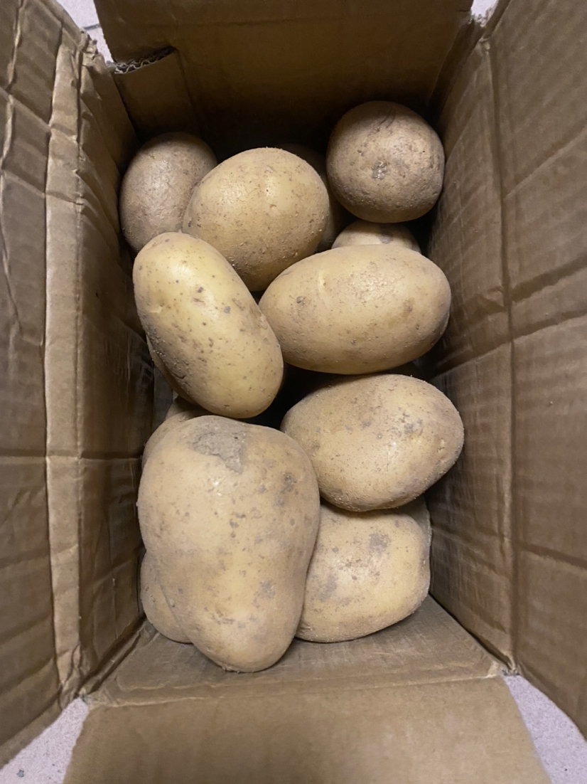 [西沛生鲜]云南黄皮黄心土豆 软糯洋芋 大果 5斤 单果100-200g 新鲜马铃薯 当季蔬菜 西沛晒单图
