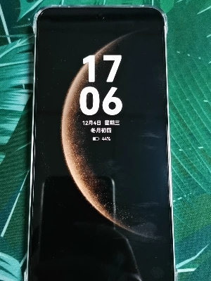 华为/HUAWEI Mate 70 12GB+512GB 雪域白 鸿蒙AI 红枫原色影像 超可靠玄武架构 华为鸿蒙智能手机 华为Mate70晒单图