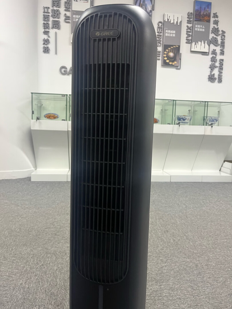 格力(GREE)空调扇 KS-04S66RDg 取暖器家用冷暖两用水冷风扇立式塔扇冷风机大功率遥控暖风机电暖器摇头曜石黑晒单图