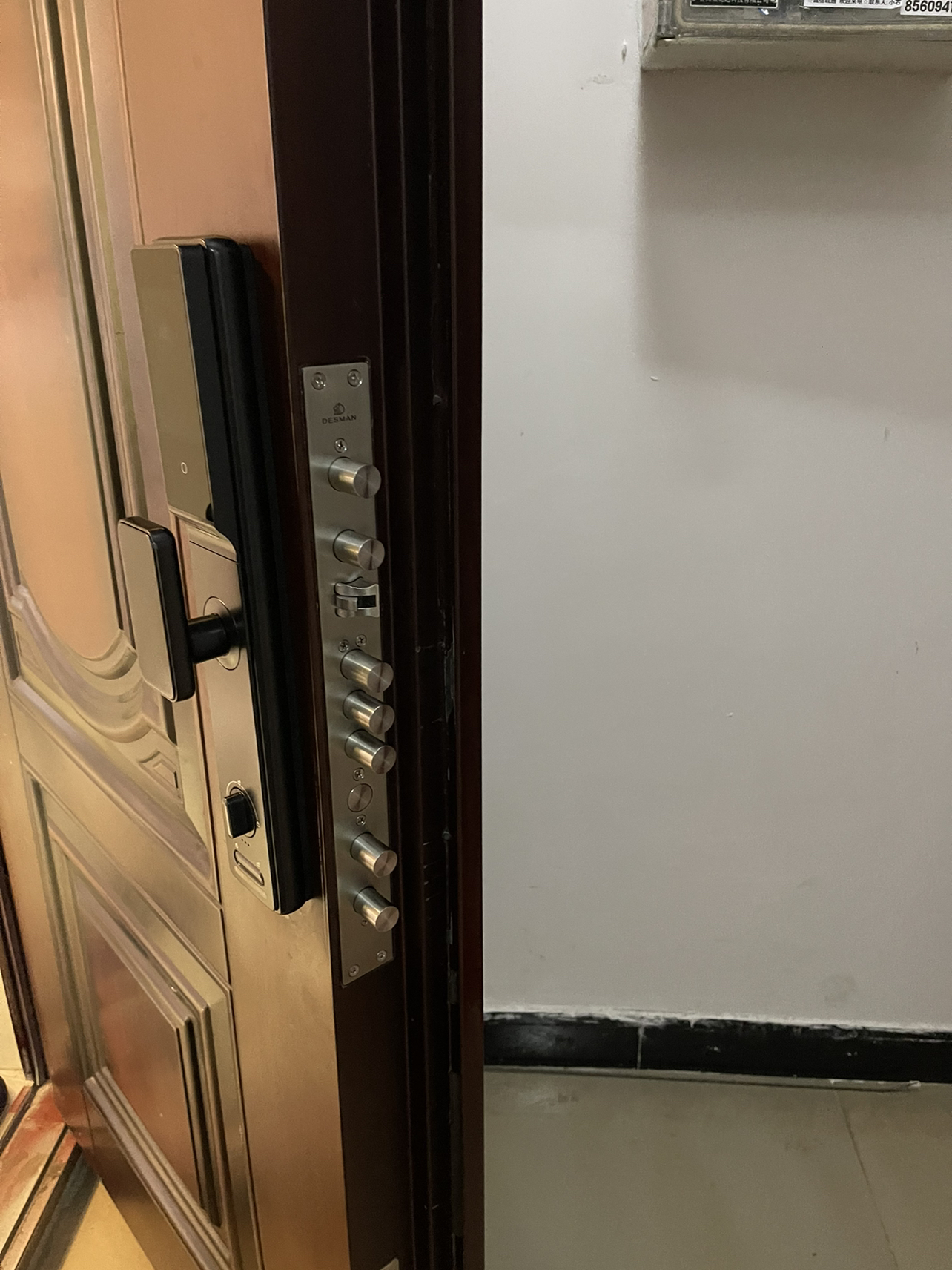 德施曼Q3EMP指纹密码锁智能门锁 家用防盗门智能安防锁 猫眼可视大屏智能锁晒单图
