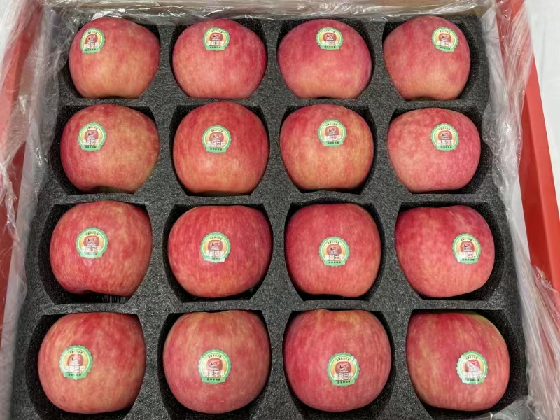 陕西延安洛川新品种秦脆苹果水果 16枚85mm大果 新鲜水果礼盒晒单图