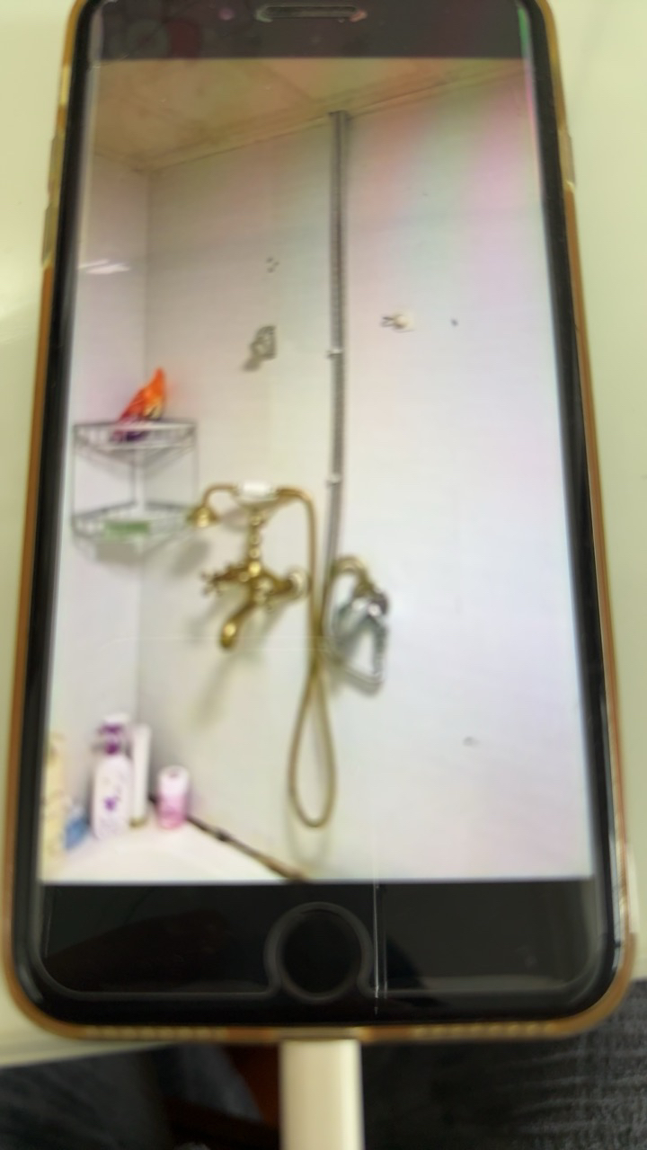 万和 一级能效 电热水器60升电热水器电热水器速热 零电洗电热水器3000W热水器60L E60-Q8D1-30晒单图