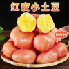 [西沛生鲜]新鲜云南红皮小土豆 大果 净重8.5斤装 单果100-200g 新鲜蔬菜 农家种植 西沛晒单图