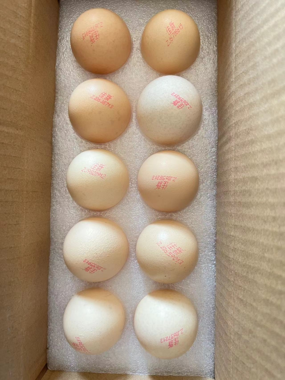 苗佳新X五个农民可生食蛋绿色无抗鲜鸡蛋无菌蛋30枚1500g晒单图