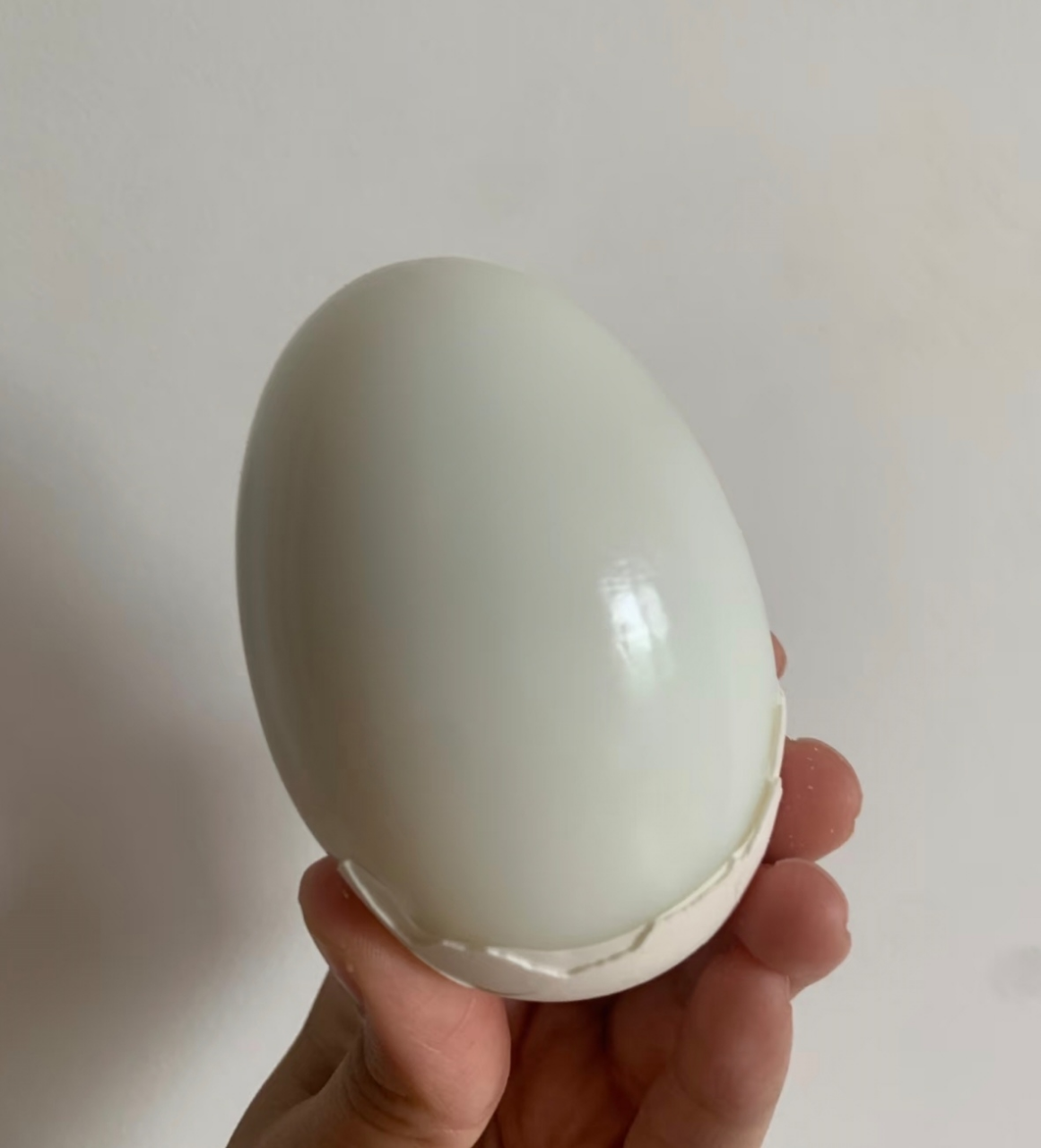 [西沛生鲜]正宗新鲜鹅蛋 6枚 90-120g/个 农家散养土鹅蛋孕妇特产现捡大鹅蛋初生蛋晒单图