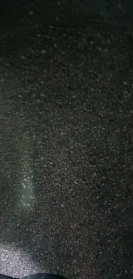 绿宝贡[新品上线]5斤装猫牙香米新鲜正宗农家长粒香优质大米南方大米晒单图