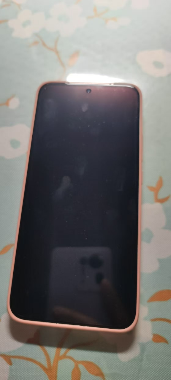 荣耀Magic7 16GB+512GB PTP-AN00 朝霞金 骁龙8至尊版移动平台 荣耀AI自然光绿洲护眼屏 第三代青海湖电池 5G手机晒单图