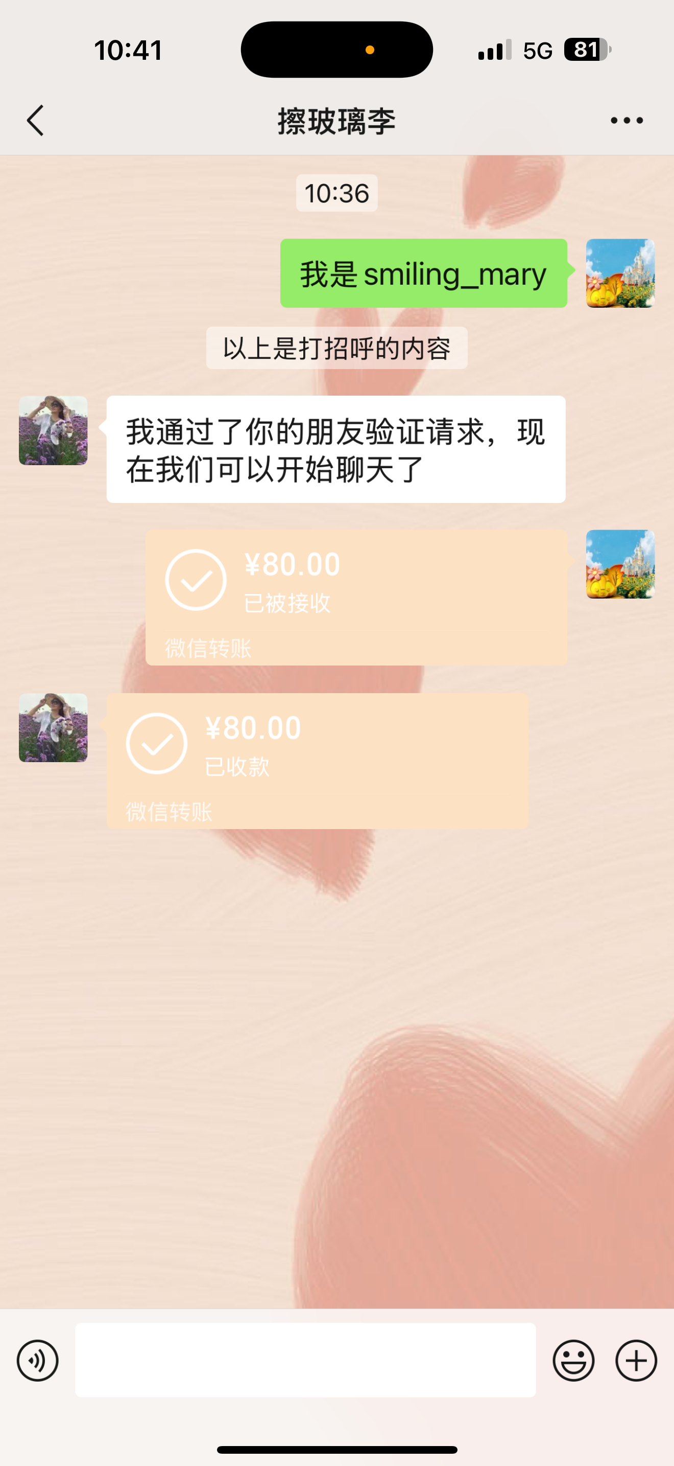 10平米上门擦玻璃服务 日常保洁 苏宁帮客家政保洁上门服务晒单图