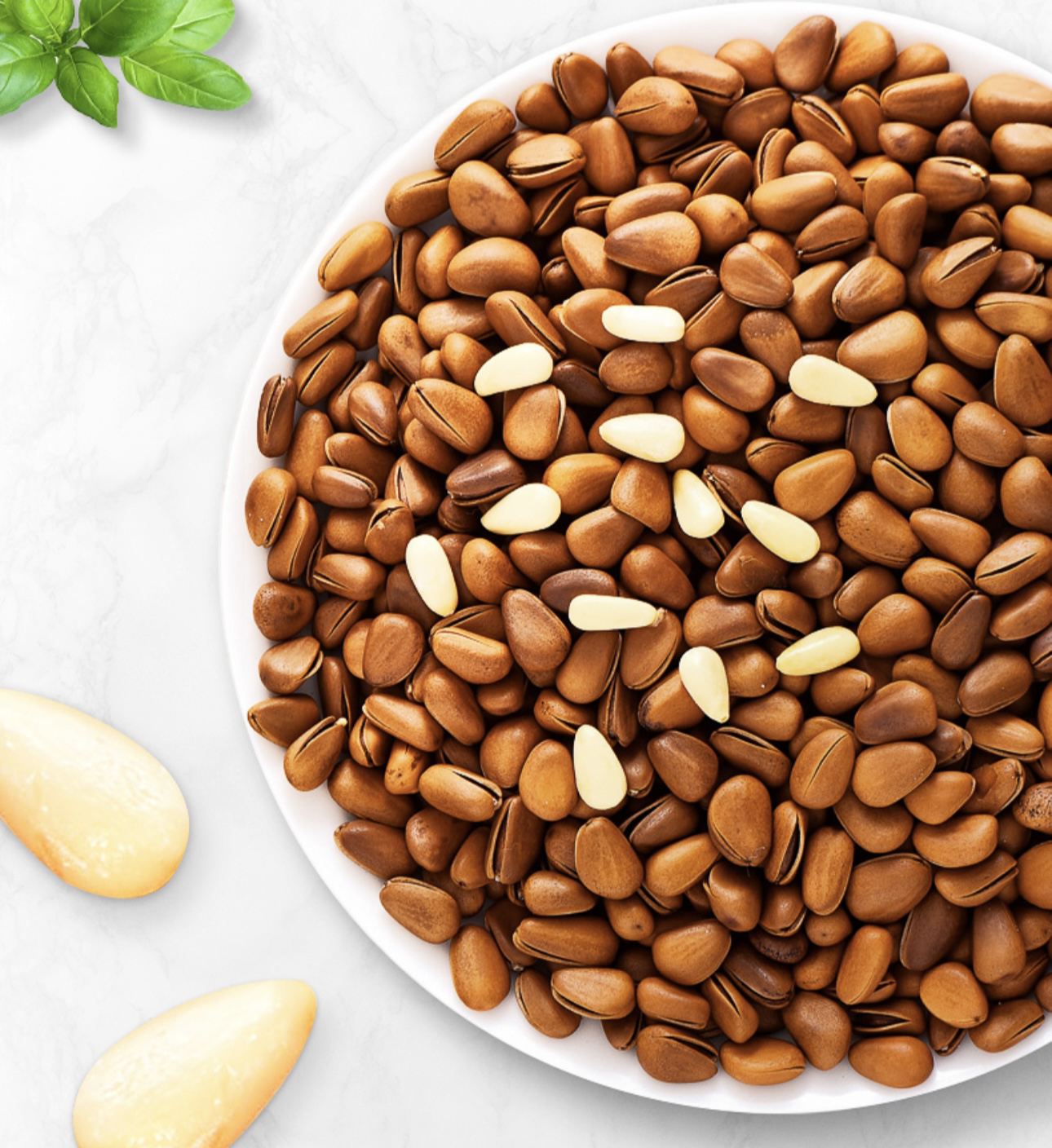 五个农民东坚果东北松子原味500g罐装炒货开口松子易剥休闲零食晒单图