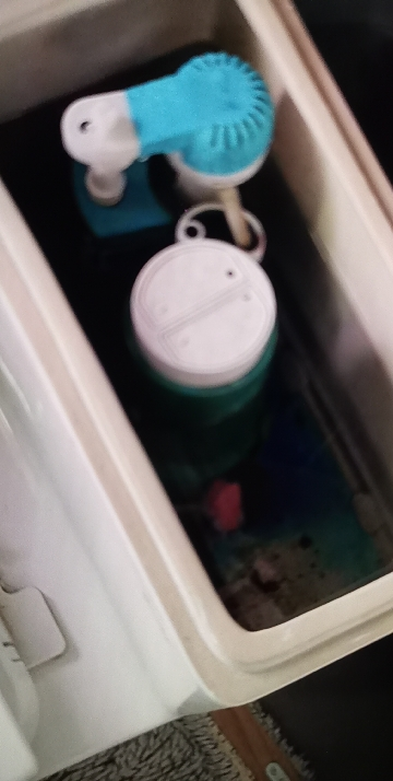 [一颗装]洁厕宝蓝泡泡洁厕灵厕所除臭神器马桶清洁剂清香型去异味球块强力晒单图