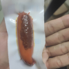 双汇 香辣香脆肠 32g*3个即食香肠玉米火腿肠晒单图