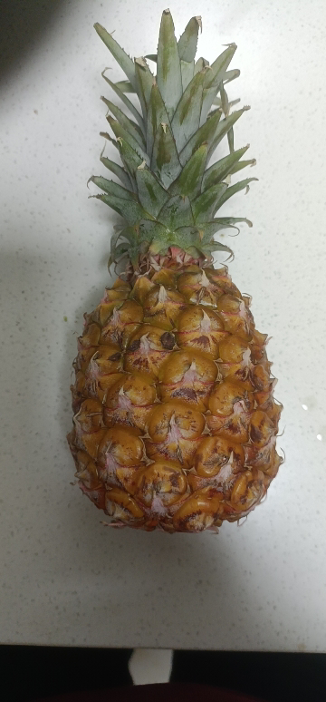 [苏鲜生]海南金钻凤梨 小果 试吃装 1个 小凤仙凤梨 当季热带水果 香甜可口 产地直发 西沛晒单图