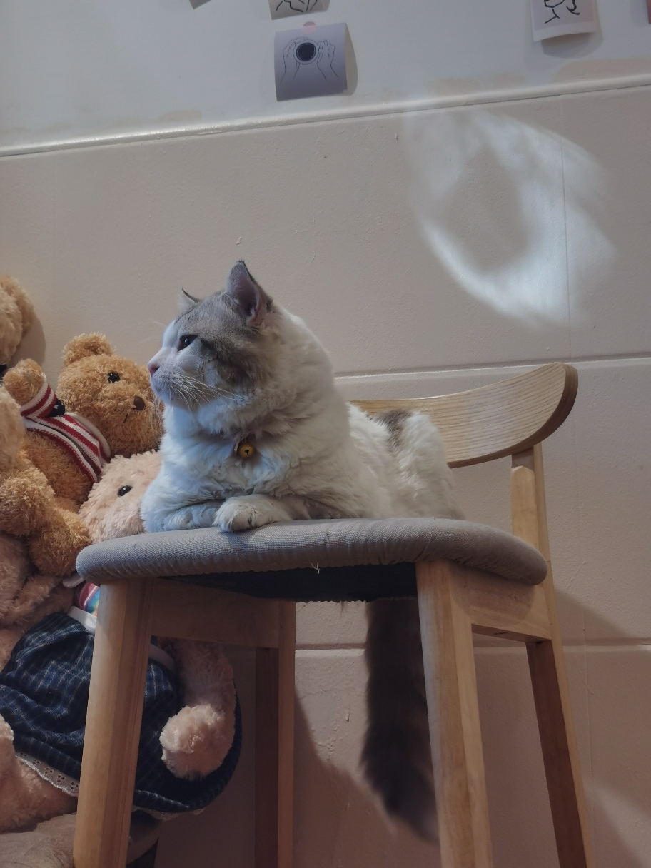 形象美烟酰胺嫩肤护手霜80g补水保湿滋润清爽改善干燥手霜护肤品晒单图