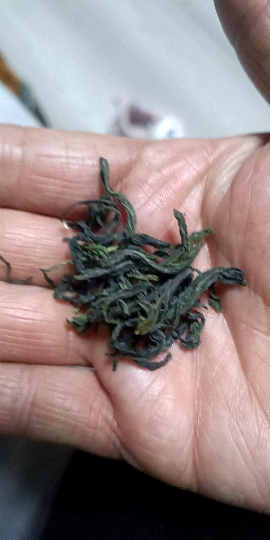 2025春茶新茶安徽天方茶叶250g一级II硒茶绿茶春茶 浓香耐泡型高山炒青绿茶手工揉捻石台硒茶晒单图