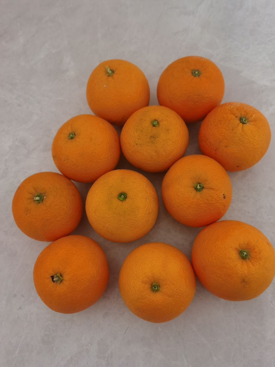[中华特色]秭归馆 一苇农佳秭归脐橙九月红5斤装60-70mm 新鲜采摘 坏果包赔 华中晒单图